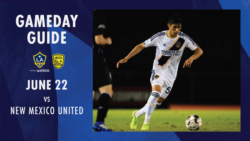 Gameday Guide: LAvNM