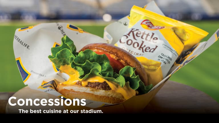 LAG WEBSITE COVER PHOTOS_2021_STADIUM2