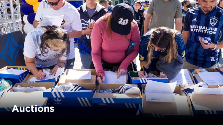 LA Galaxy Website Tiles Auction