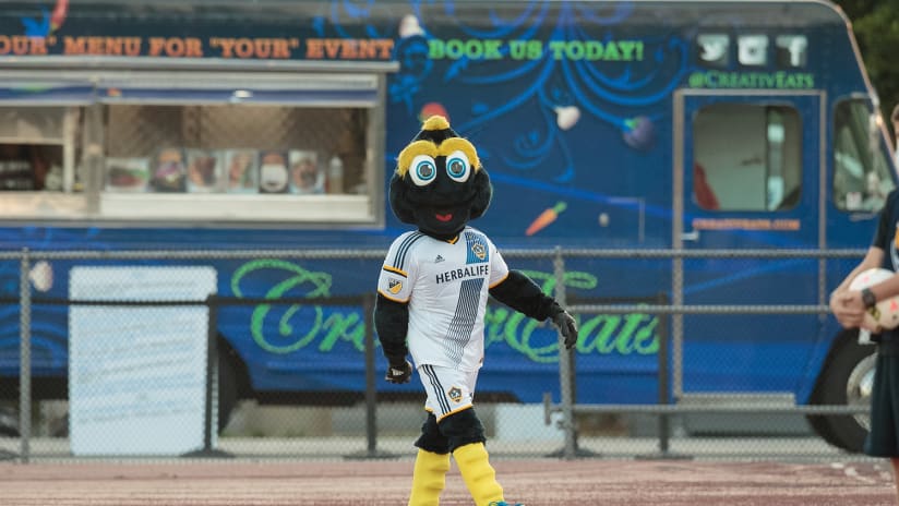 mascot of the year