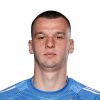 Novak Micovic