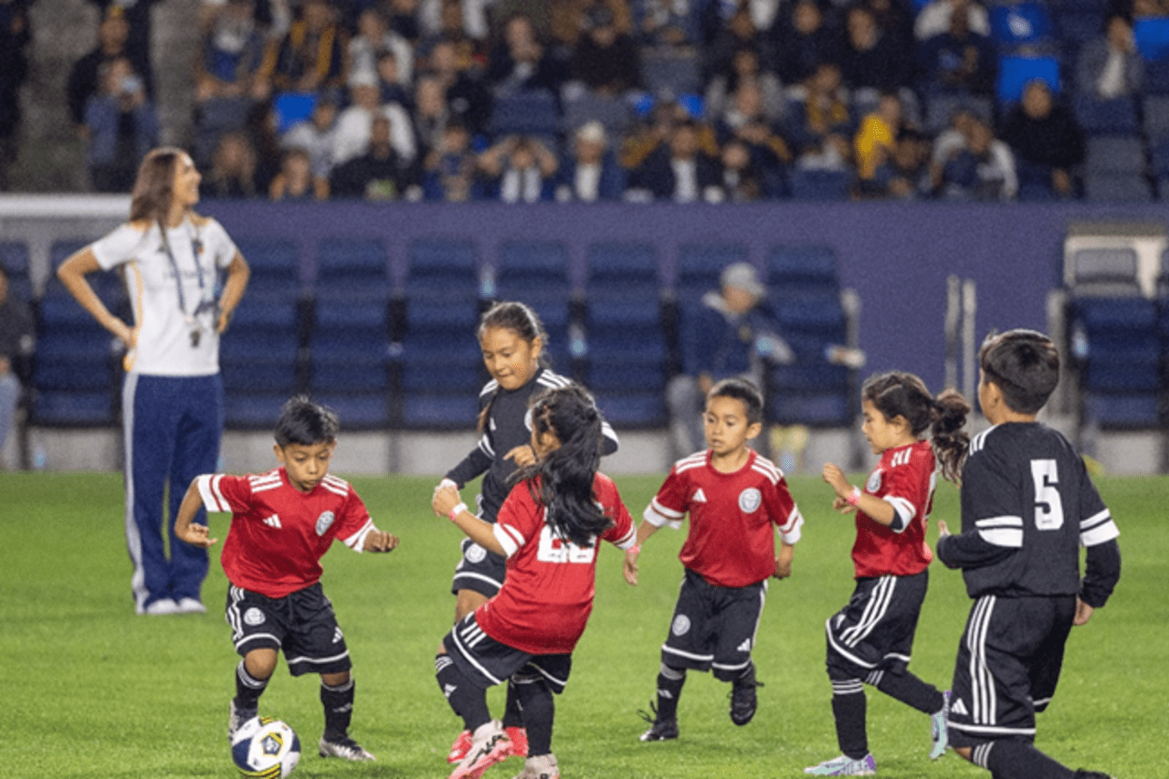 Partnerships